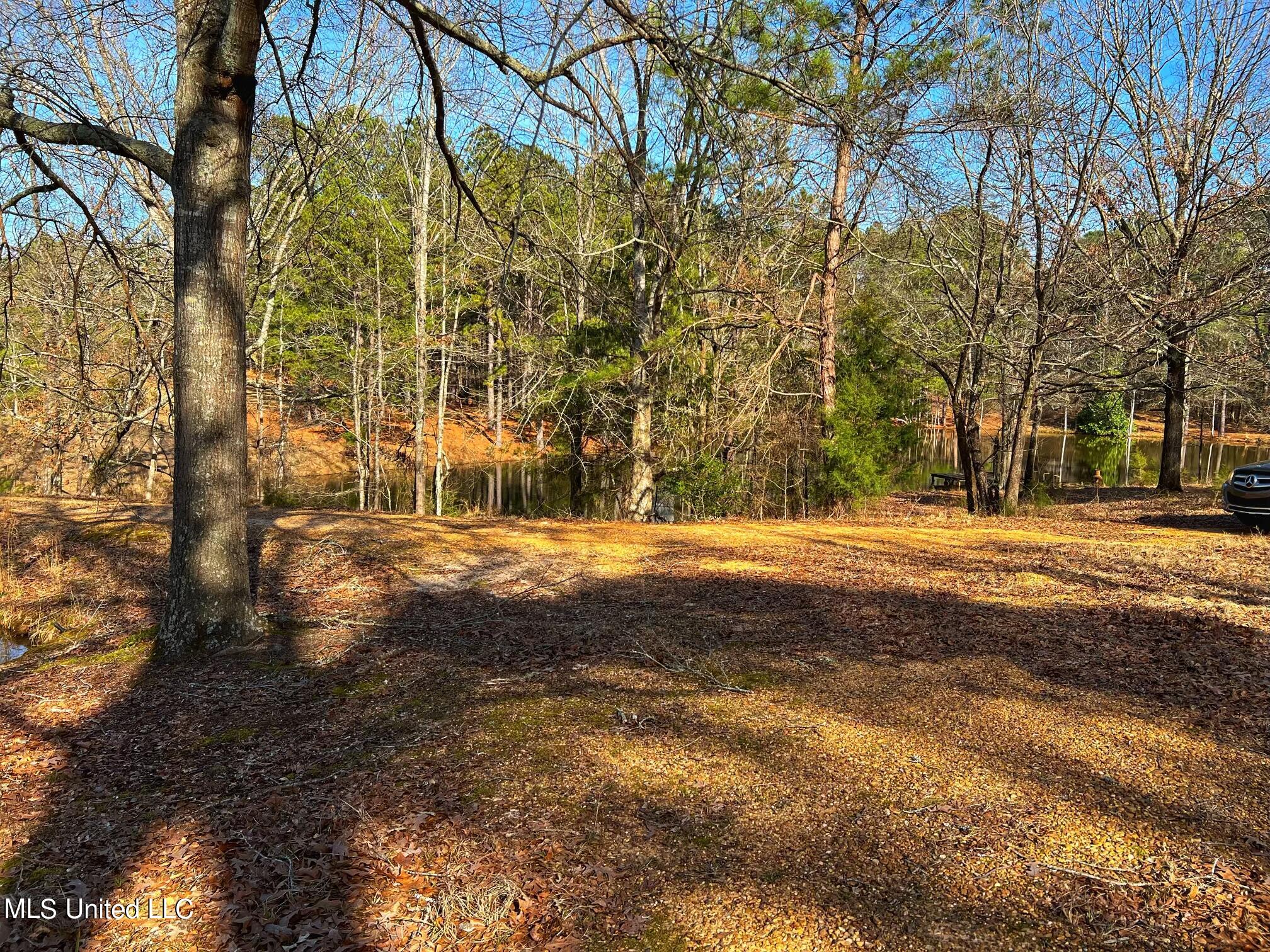 Kimbell Road Terry, MS 39170 - Photo 13 of 49 IMG-5754