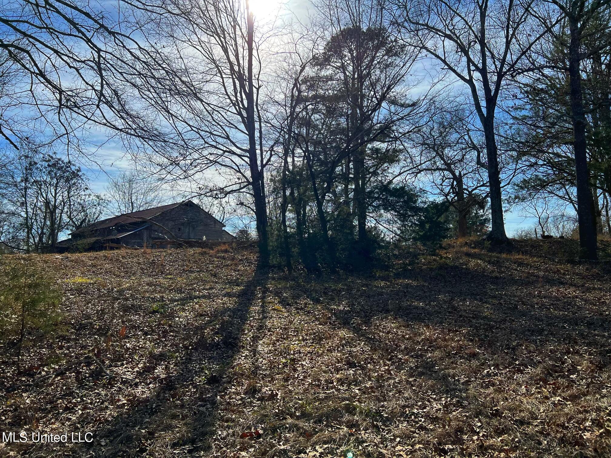 Kimbell Road Terry, MS 39170 - Photo 20 of 49 IMG-5763