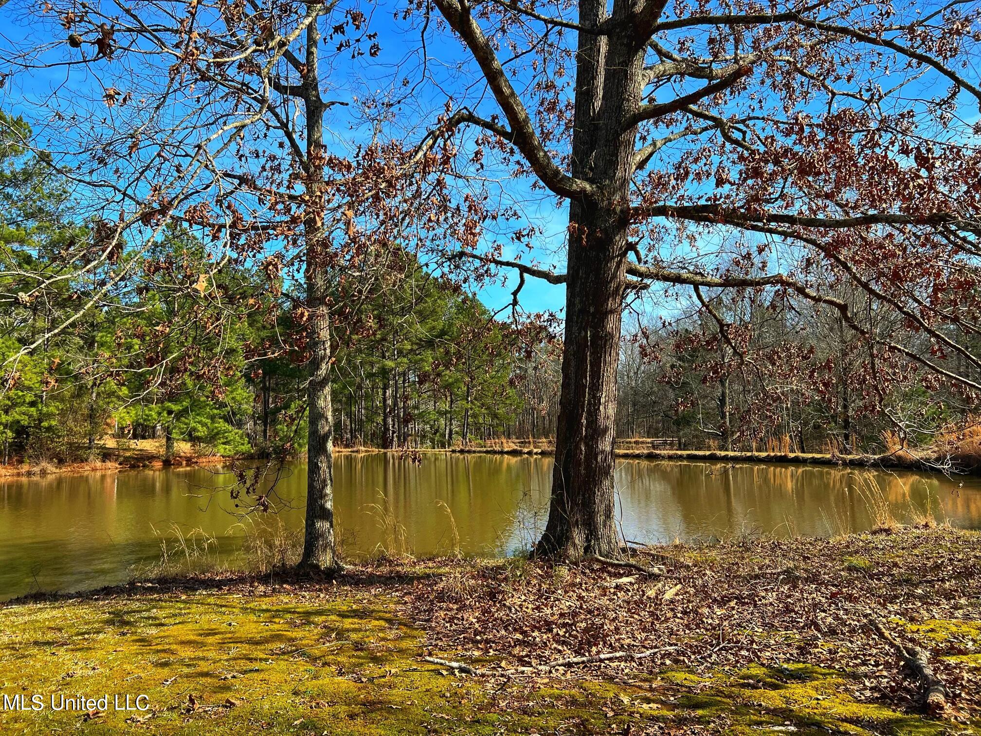 Kimbell Road Terry, MS 39170 - Photo 2 of 49 IMG-5756