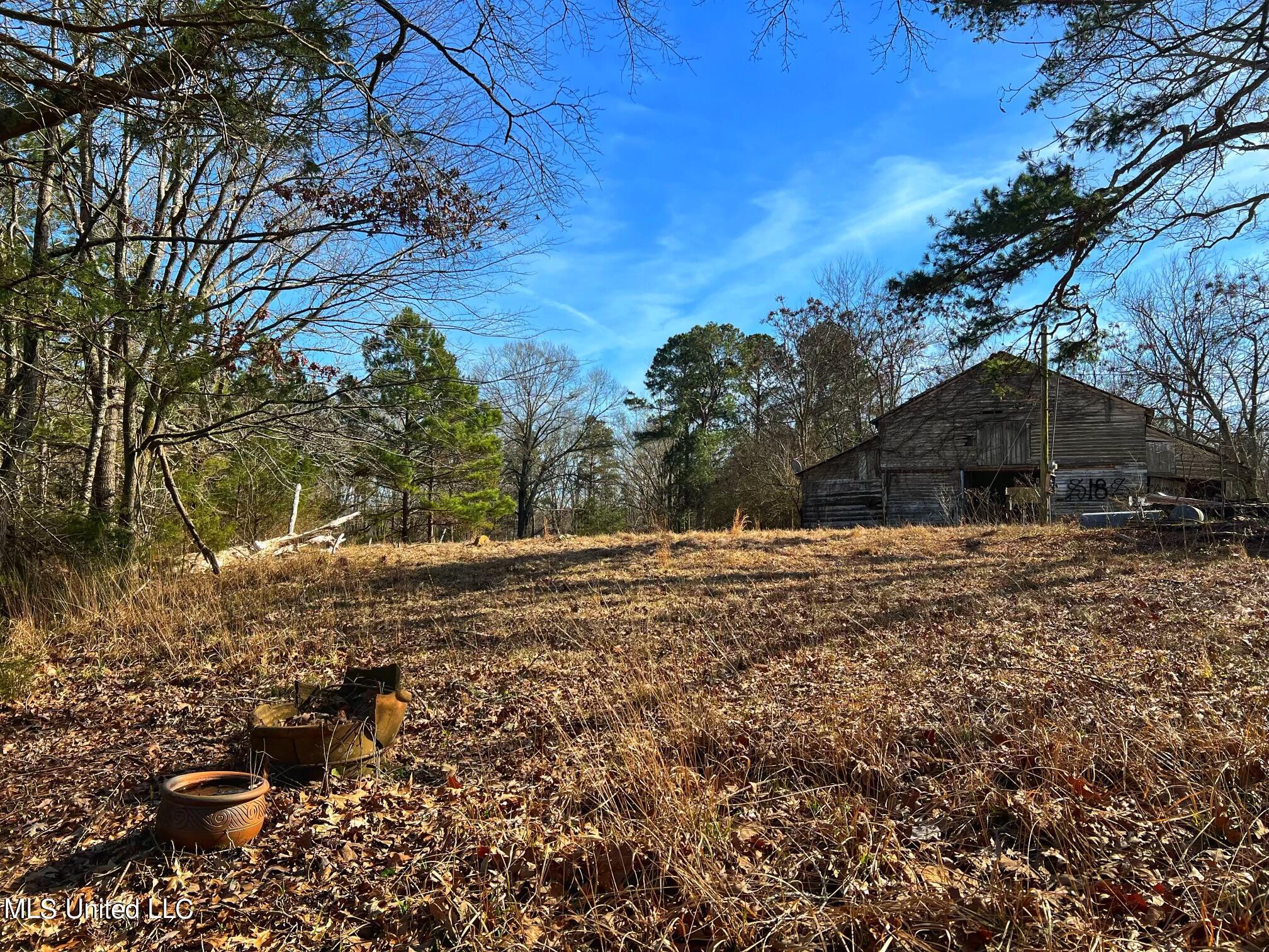 Kimbell Road Terry, MS 39170 - Photo 21 of 49 IMG-5744