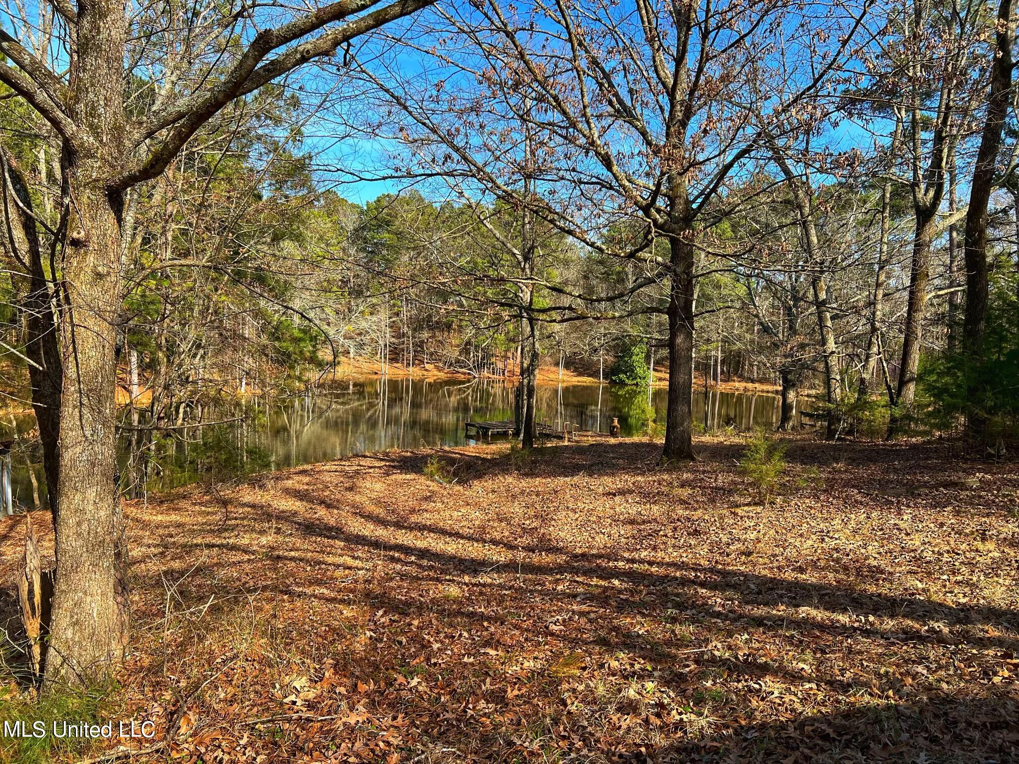 Kimbell Road Terry, MS 39170 - Photo 7 of 49 IMG-5752