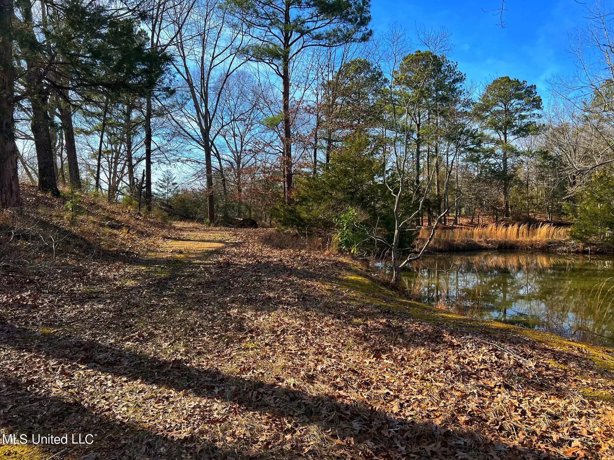 Kimbell Road Terry, MS 39170 - Photo 8 of 49 IMG-5760