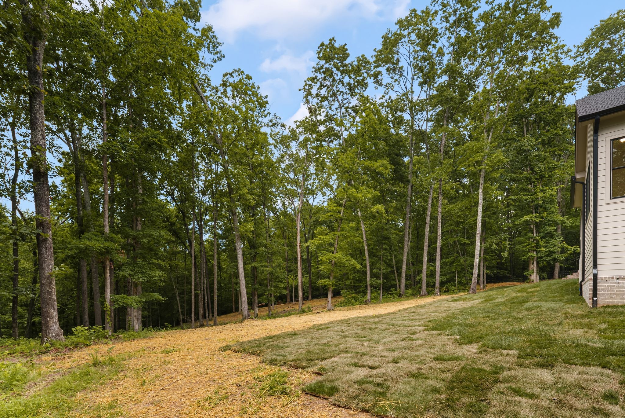 5662 Pinewood Road Franklin, TN 37064 - Photo 46 of 61