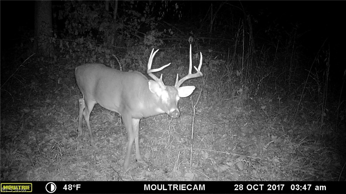 87 State Route Orwell, OH 44076 - Photo 27 of 31 Gallery Image 27