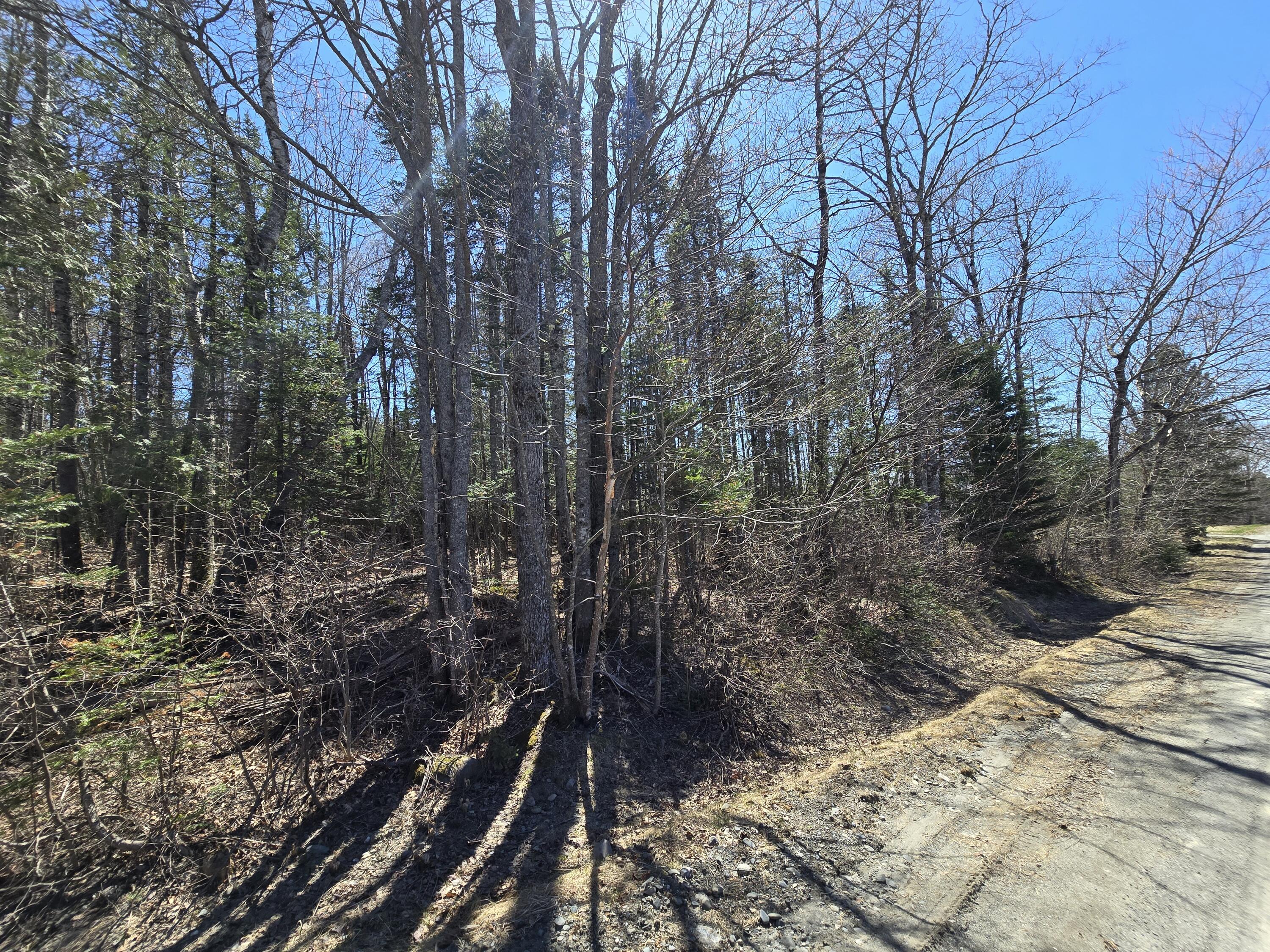 0 Grant Road Sangerville, ME 04479 - Photo 7 of 18 20250501_134334
