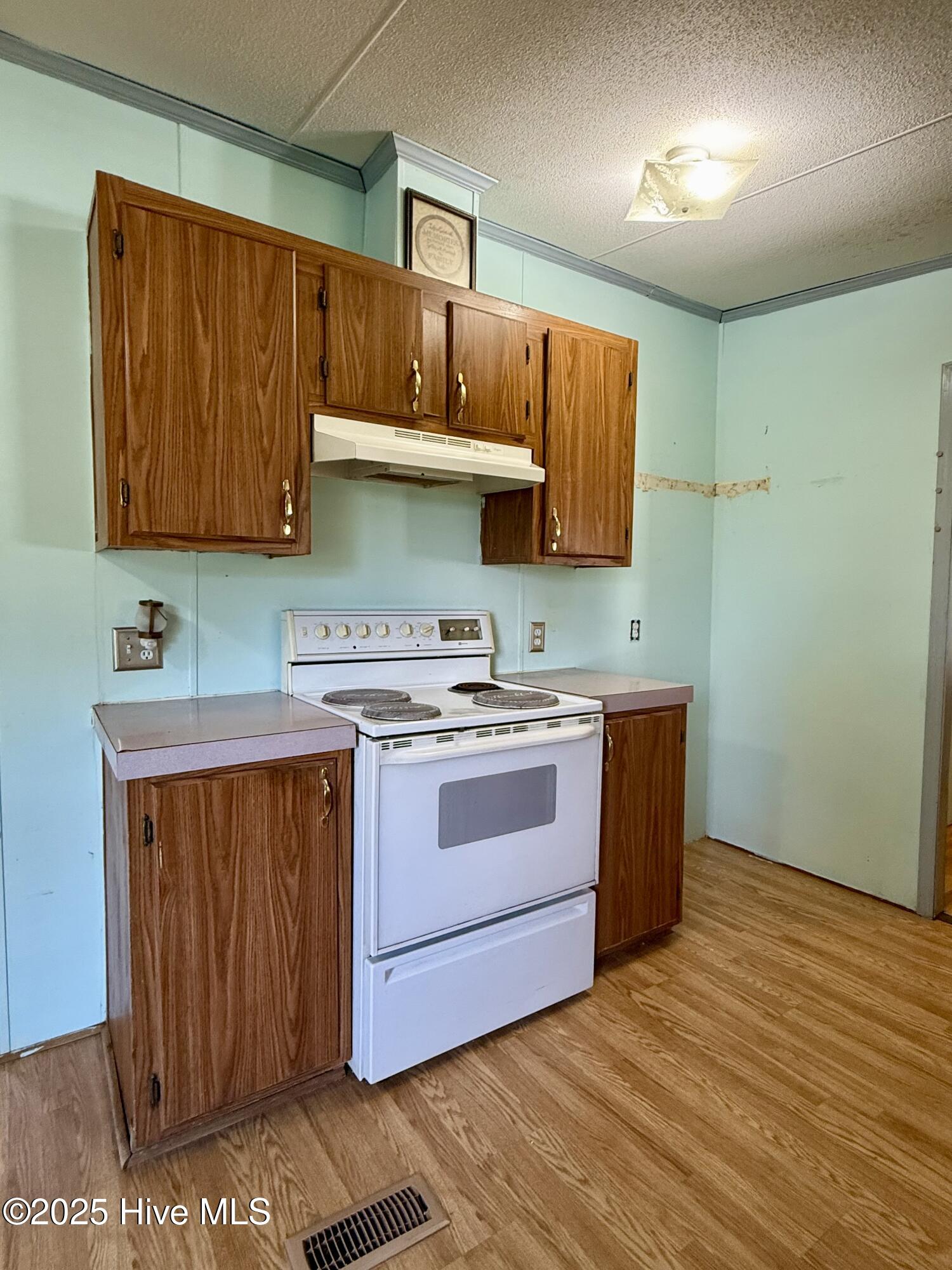 2061 Dymond City Road Williamston, NC 27892 - Photo 27 of 51 Kitchen