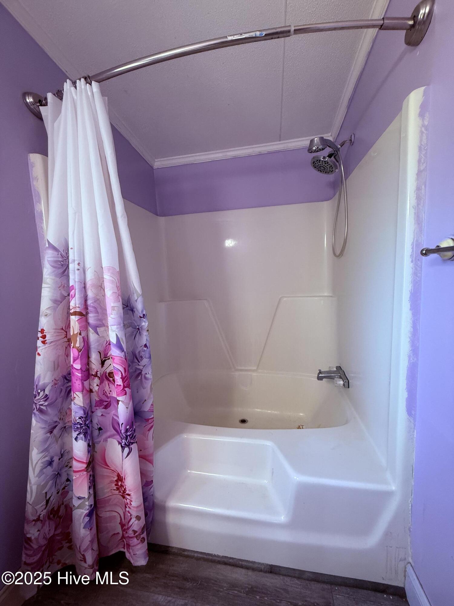 2061 Dymond City Road Williamston, NC 27892 - Photo 38 of 51 Primary bathroom