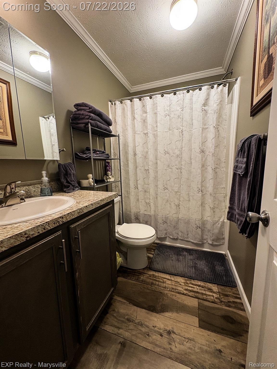 2601 Beach Road Port Huron, MI 48060 - Photo 20 of 34 Bathroom featuring a single vanity with dark cabinetry, a built-in sink, and a speckled countertop