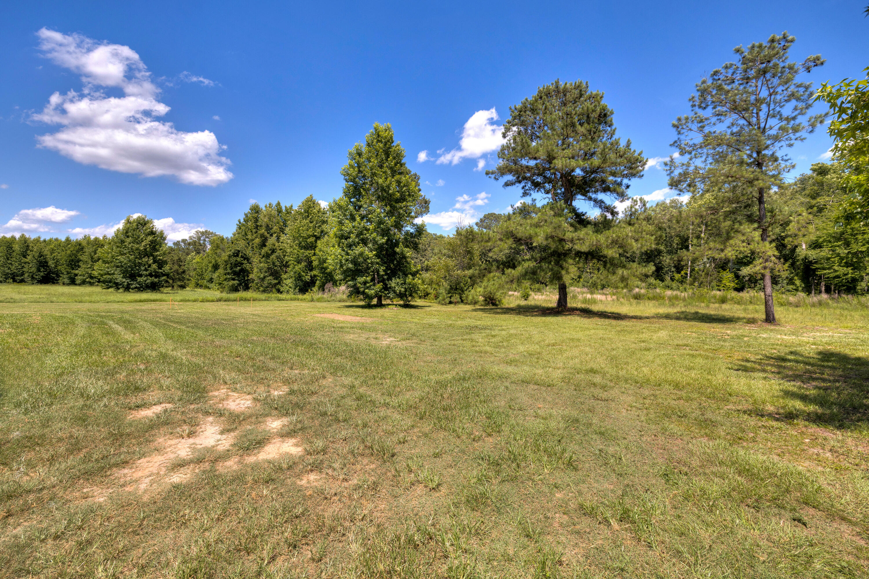 1646 Cleveland Street Elloree, SC 29047 - Photo 11 of 54 09