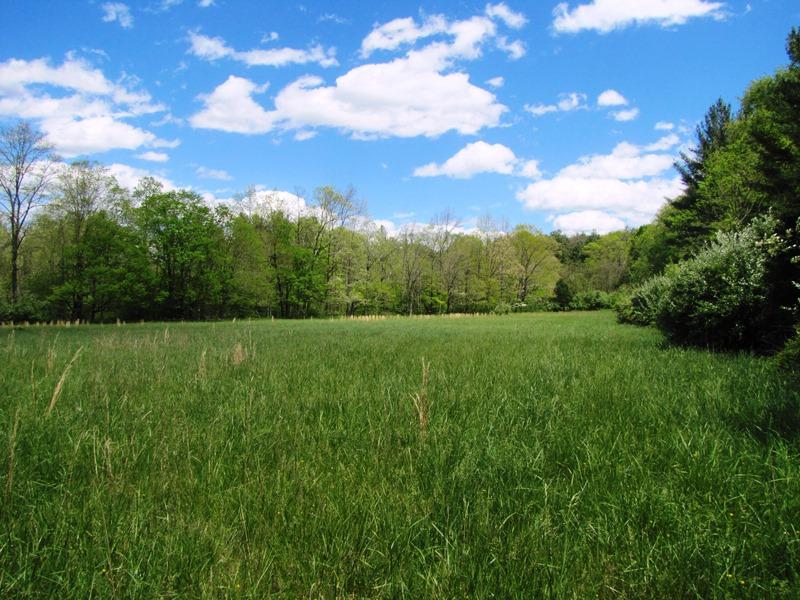 329 Trout Run Road Waiteville, WV 24984 - Photo 83 of 91 Gallery Image 83