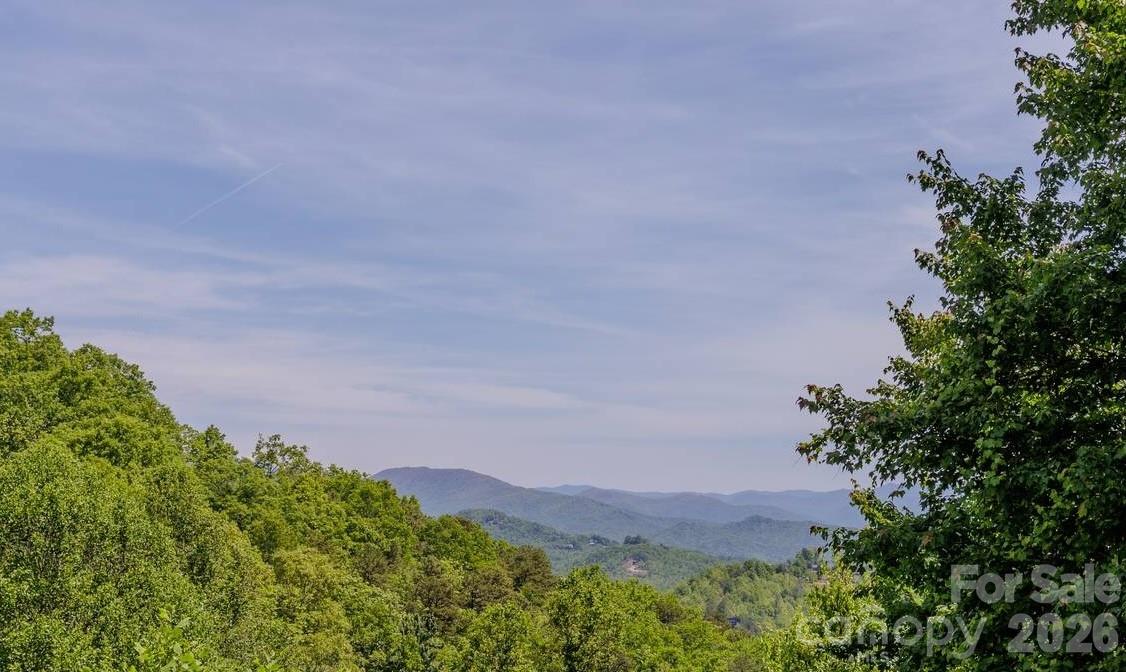 860 Butternut Ridge, Unit 8 Bryson City, NC 28713 - Photo 45 of 47 a view of a lush green field with a tree in the background