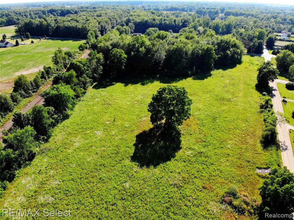 0 East Winegar Road Morrice, MI 48857 - Photo 18 of 37