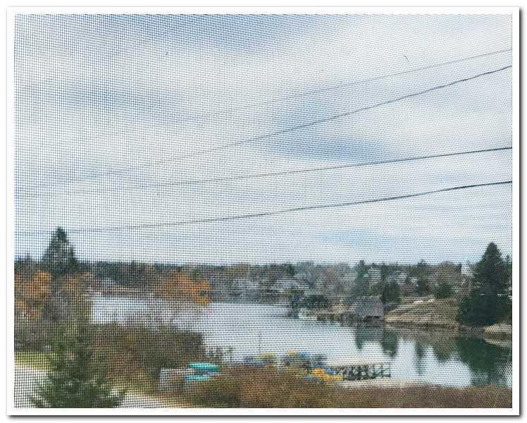 154 Crowley Island Road Corea, ME 04624 - Photo 29 of 33 download (31)