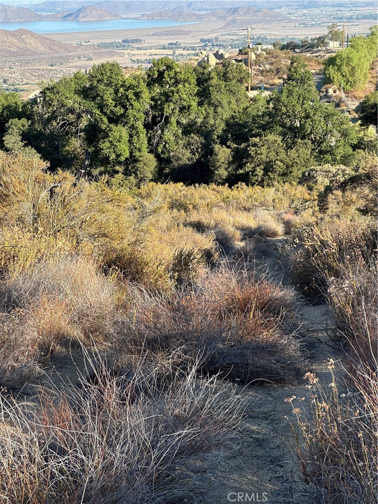 0 Minto Way Hemet, CA 92544 - Photo 13 of 19 a view of a yard with plants and large trees