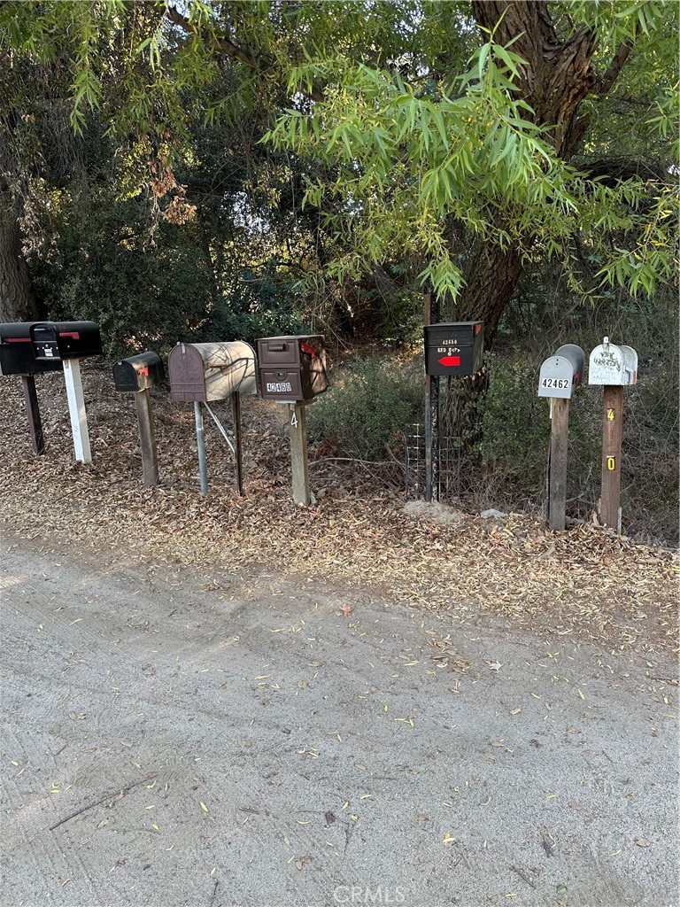 0 Minto Way Hemet, CA 92544 - Photo 5 of 19 a green field with some trees in the background