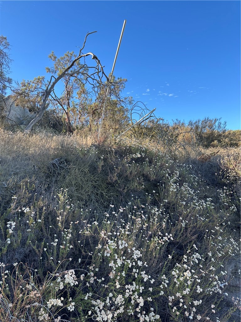 0 Minto Way Hemet, CA 92544 - Photo 7 of 19