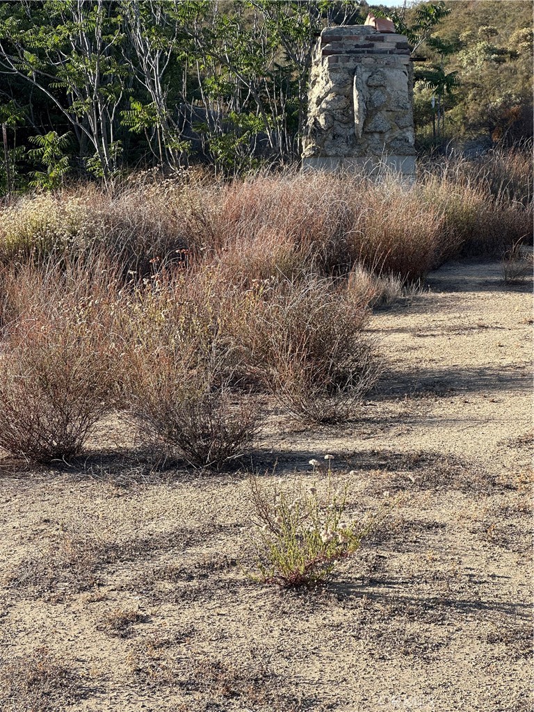 0 Minto Way Hemet, CA 92544 - Photo 9 of 19 a view of a yard with a tree