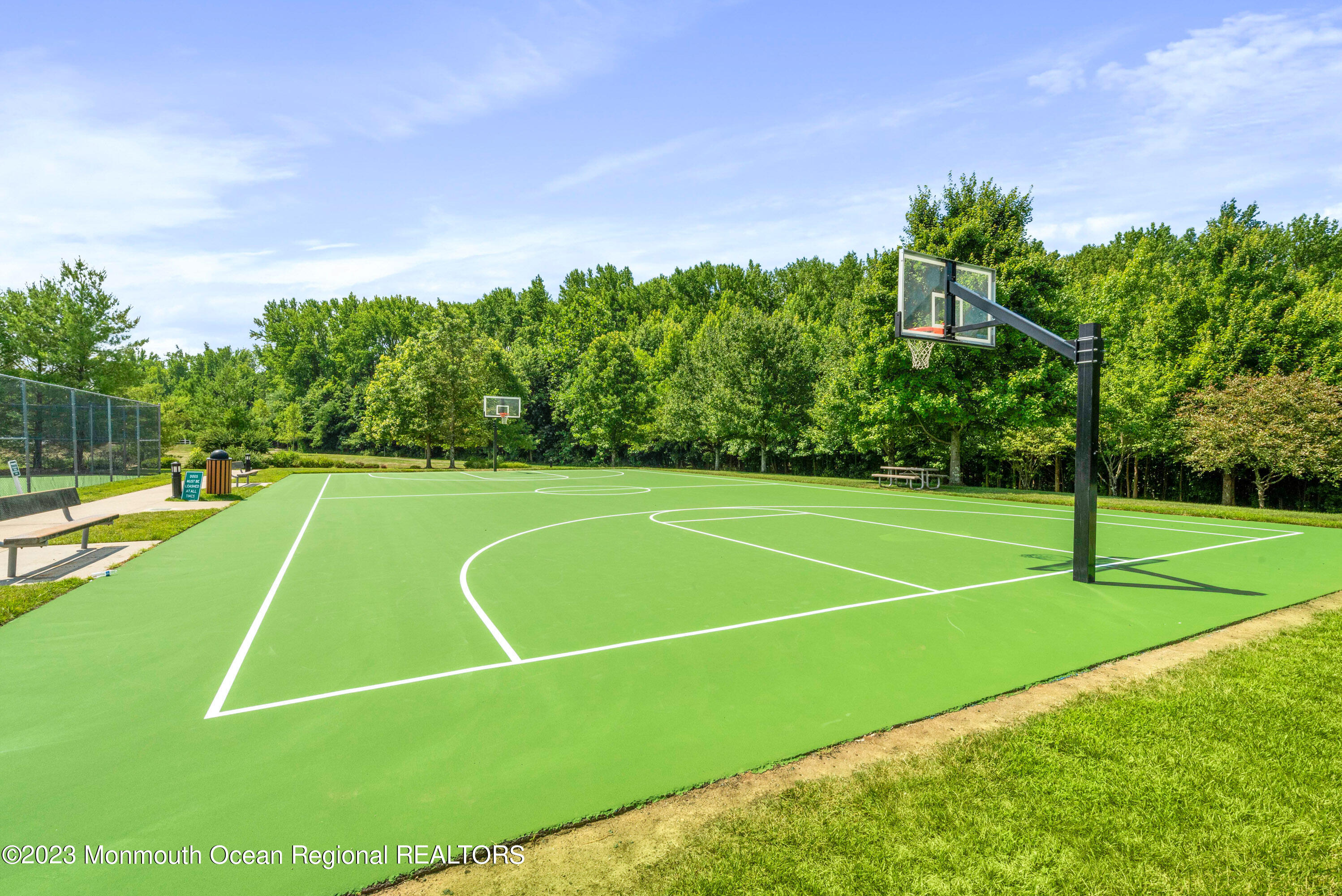 10 Bristol Road Manalapan, NJ 07726 - Photo 41 of 49 basketball