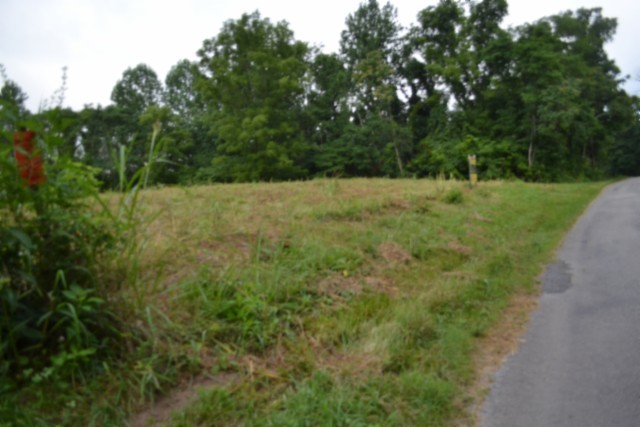 0 Pea Ridge Fire Tower Road Celina, TN 38551 - Photo 25 of 59