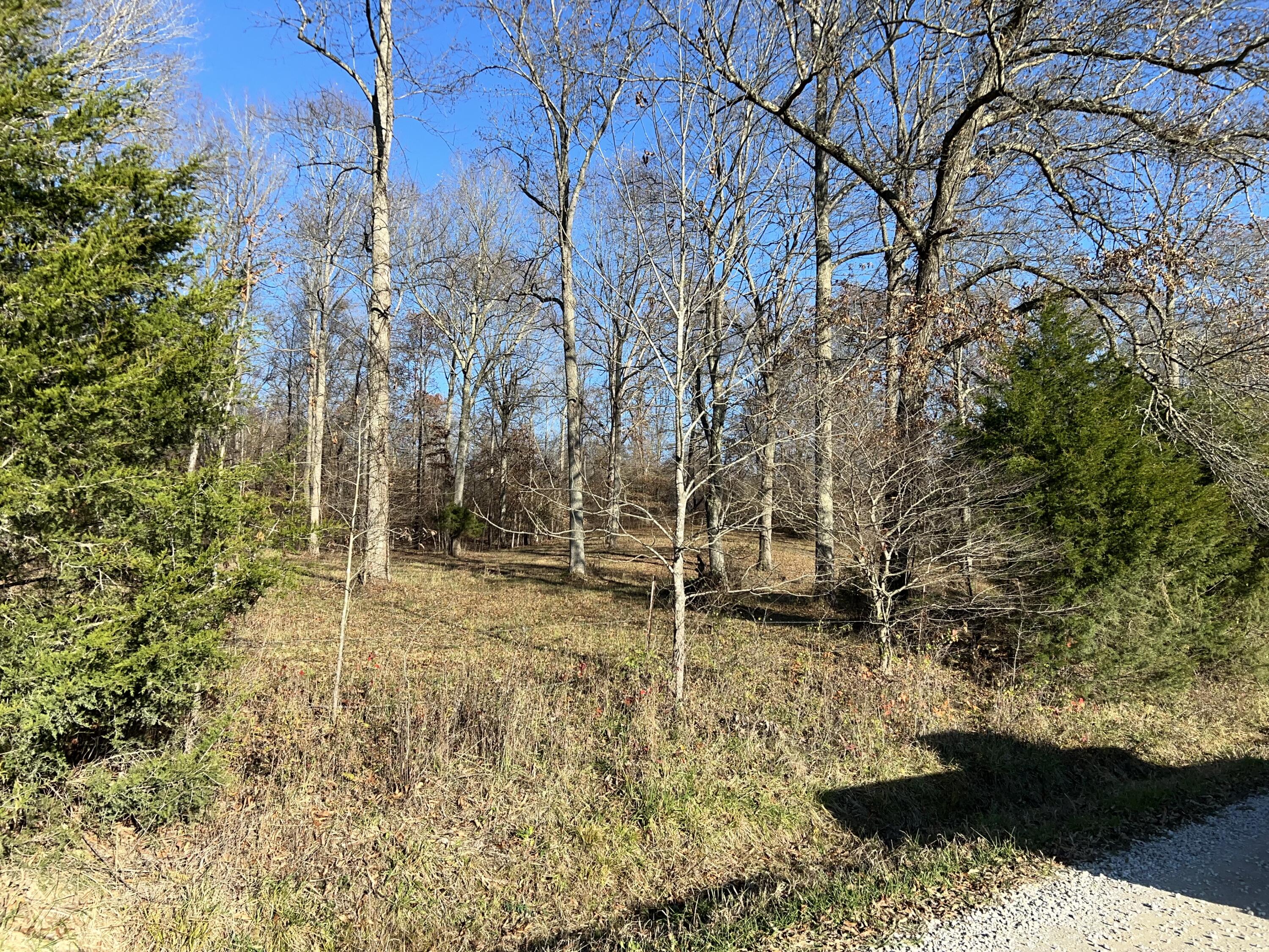 0 West Bowman Springs Road Wallingford, KY 41093 - Photo 1 of 13 IMG_2739