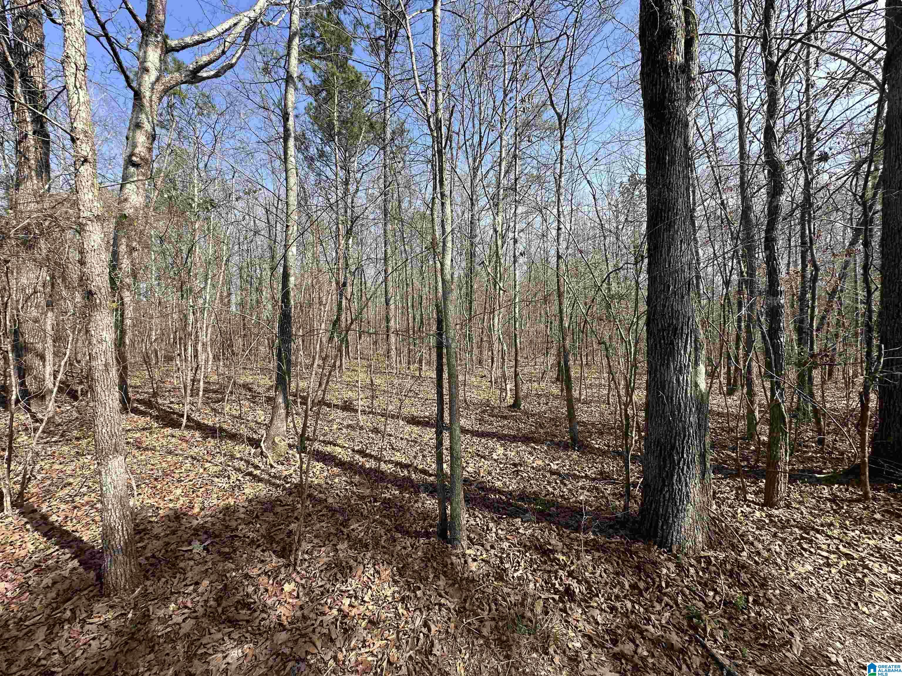 2560 Slasham Road Ashville, AL 35953 - Photo 72 of 77