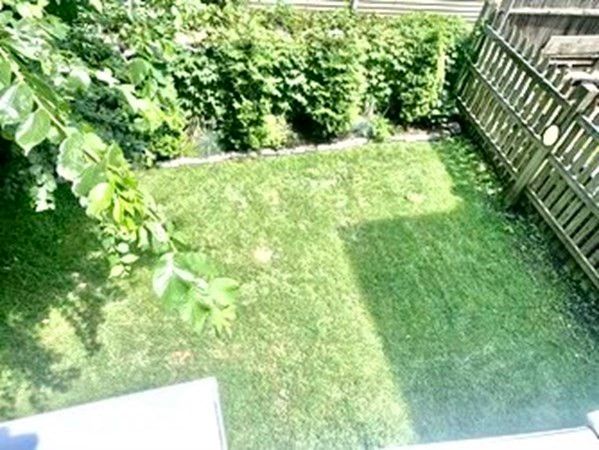 a view of a yard with plants