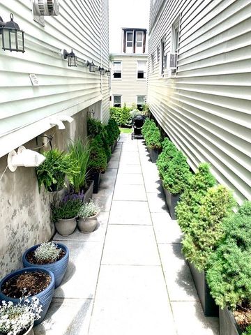 a potted plant sitting on a brick wall