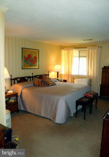 18709 Walkers Choice Road, Unit 6 Gaithersburg, MD 20886 - Photo 9 of 10 a spacious bedroom with a bed and a couch
