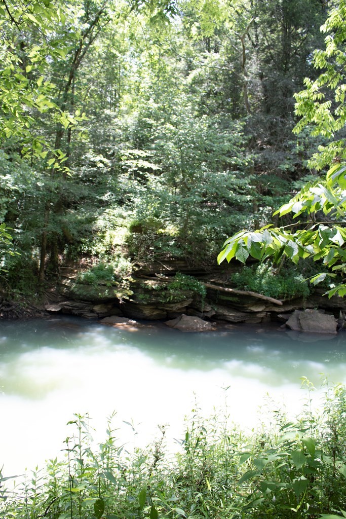0 Frank Sims Road Sparta, TN 38583 - Photo 10 of 34 Gallery Image 10