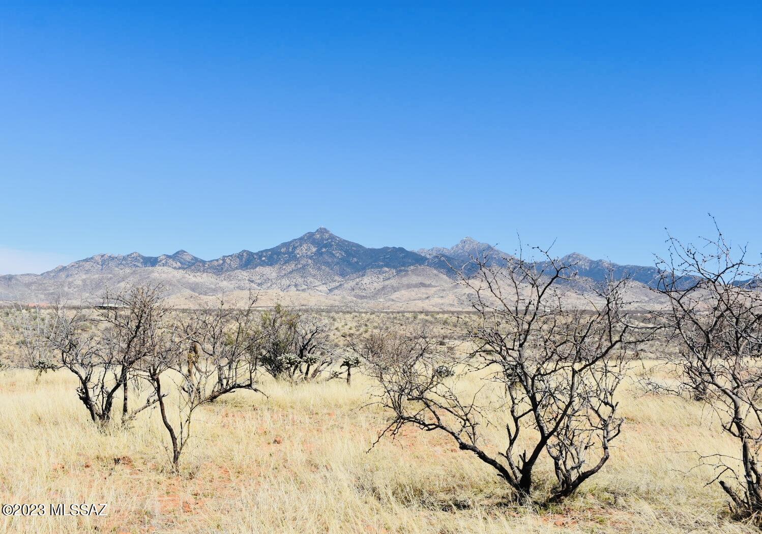 Tbd Tbd Camino Josefina, Unit 50 Rio Rico, AZ 85648 - Photo 1 of 9