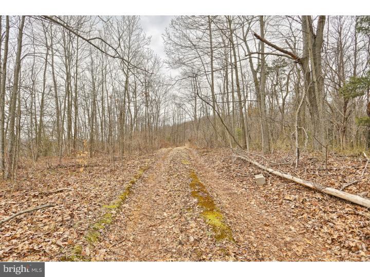 105 Furnace Road Birdsboro, PA 19508 - Photo 25 of 25 Driveway