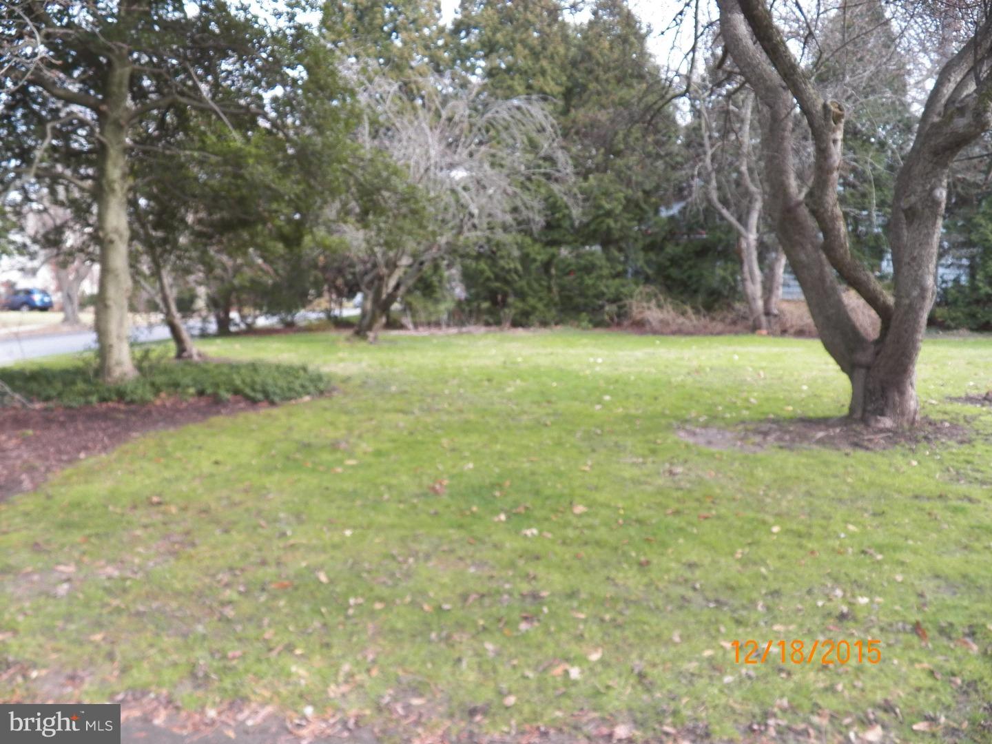 401 South Chester Road Swarthmore, PA 19081 - Photo 6 of 25