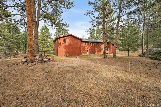 a view of a yard with a large tree