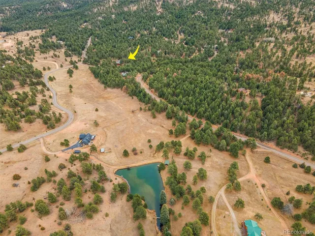 a view of plant with wooden floor