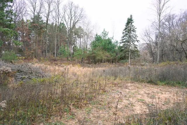 $45,000 | 9496 Deer Valley Drive, Greenville, MI 48838