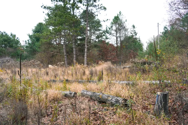 $45,000 | 9496 Deer Valley Drive, Greenville, MI 48838