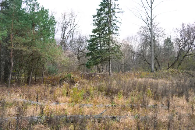 $45,000 | 9496 Deer Valley Drive, Greenville, MI 48838