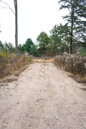 $45,000 | 9496 Deer Valley Drive, Greenville, MI 48838