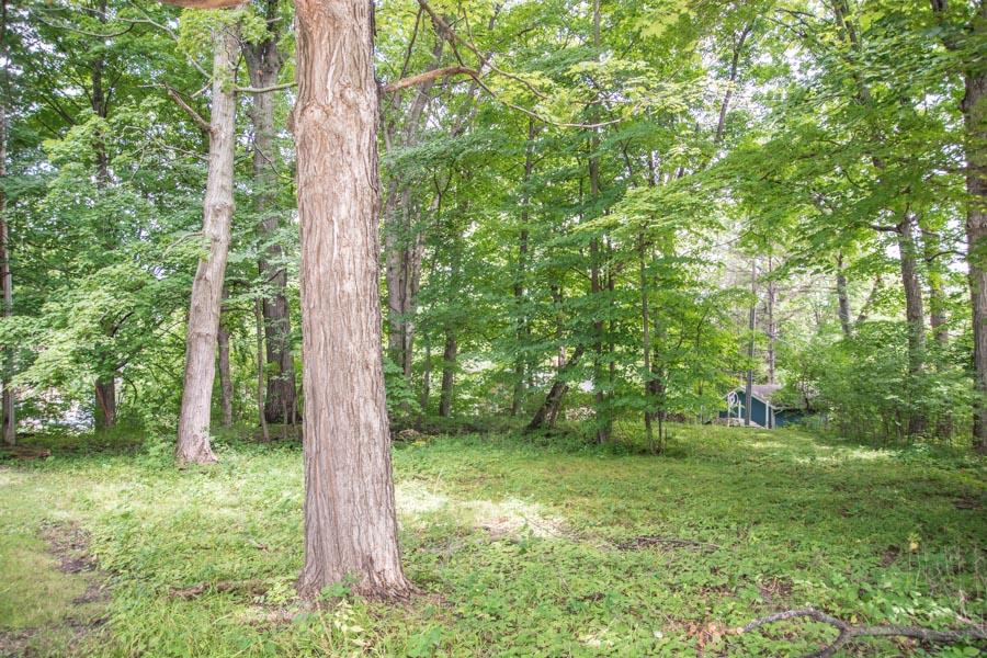 1/2 Acre Wooded Lot