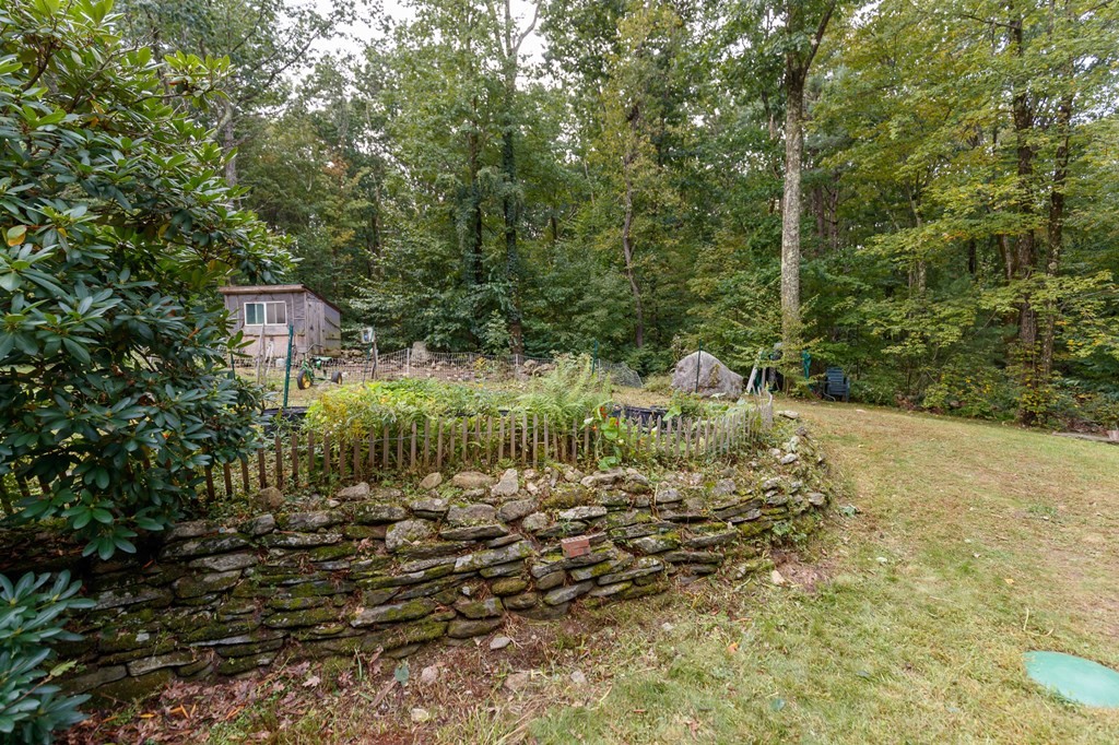 301 Main Road Montgomery, MA 01085 - Photo 27 of 41 a view of a yard with plants and large trees