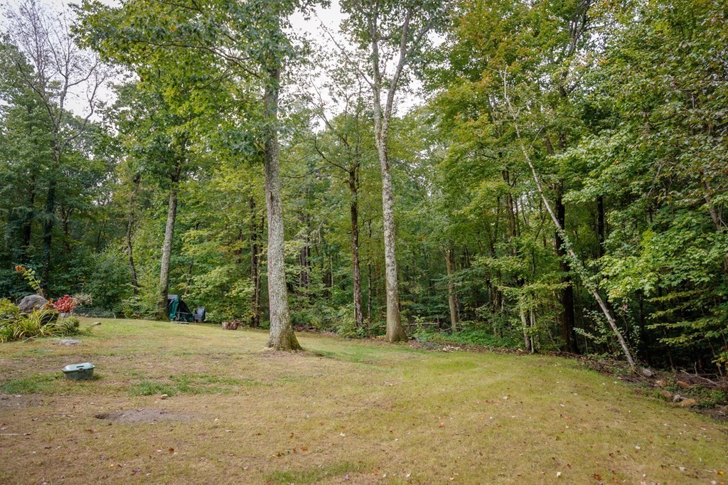 301 Main Road Montgomery, MA 01085 - Photo 29 of 41 a view of a field with trees in the background