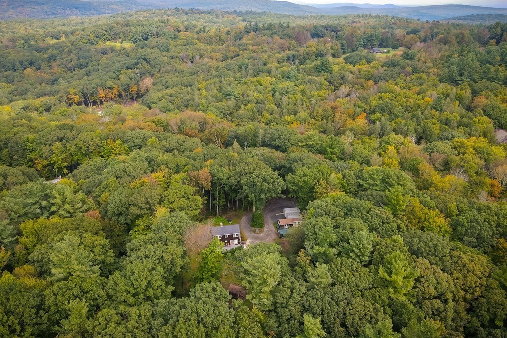 301 Main Road Montgomery, MA 01085 - Photo 7 of 41 a view of a forest with a street