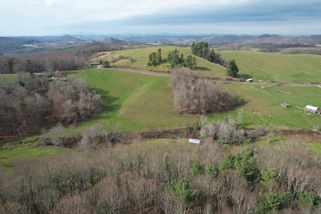 5549 Joy Ranch Road Fancy Gap, VA 24328 - Photo 20 of 38 Gallery Image 20
