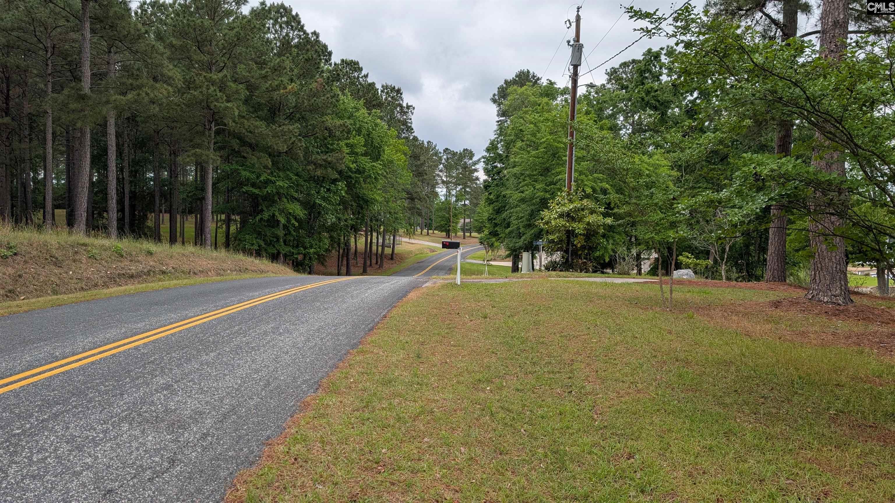 829 Rocky Point Circle Ridgeway, SC 29130 - Photo 37 of 62