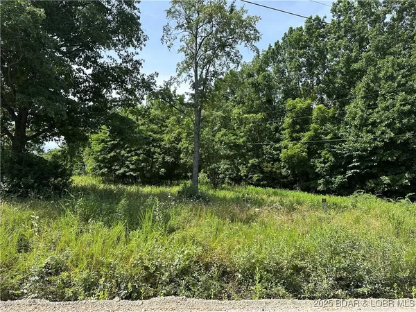$65,000 | Lot 2 Lick Creek Road, Edwards, MO 65326