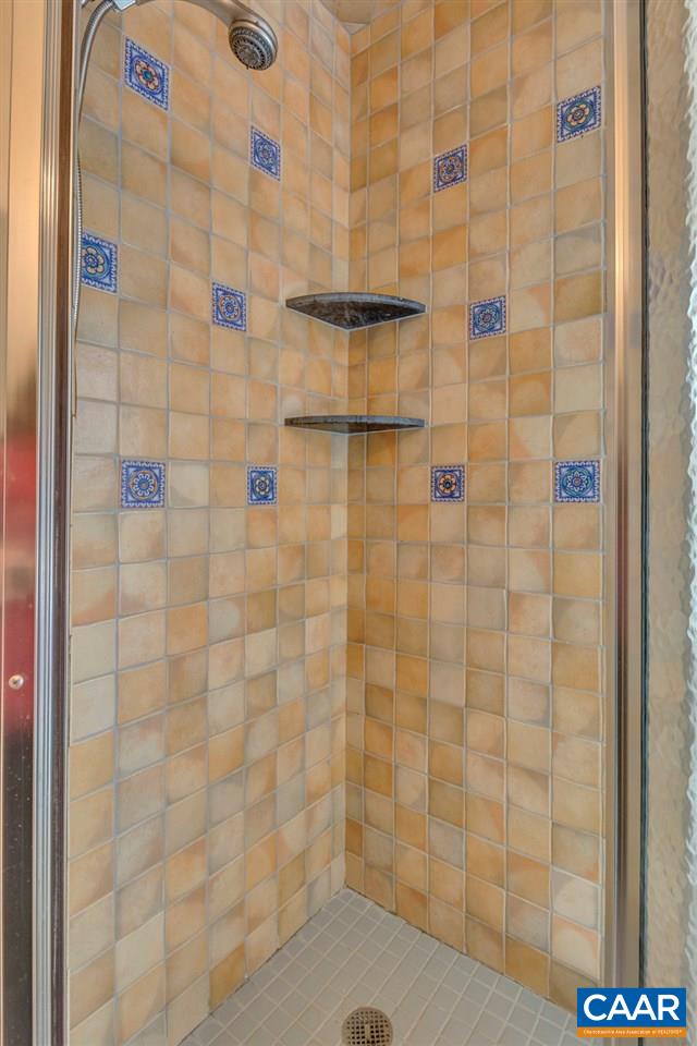 3700 Millington Road Free Union, VA 22940 - Photo 13 of 41 a bathroom with a shower