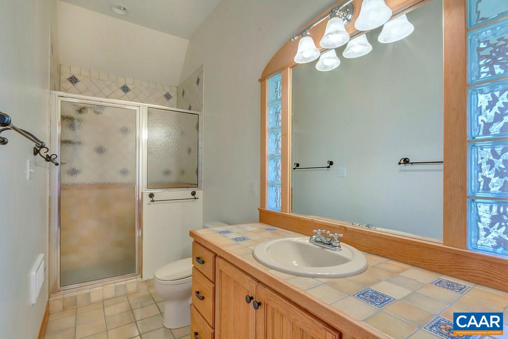 3700 Millington Road Free Union, VA 22940 - Photo 30 of 41 a bathroom with a sink a toilet and shower