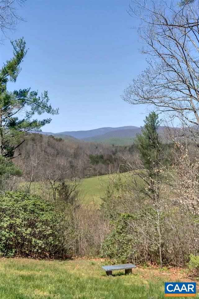 3700 Millington Road Free Union, VA 22940 - Photo 36 of 41 a view of a yard with an trees