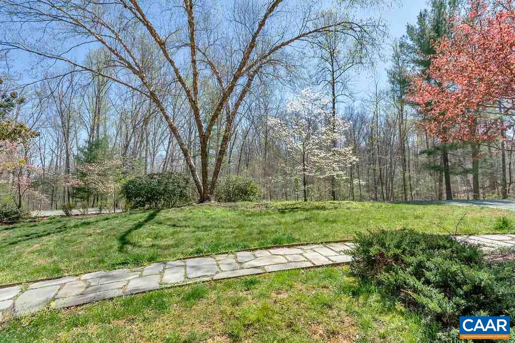 3700 Millington Road Free Union, VA 22940 - Photo 37 of 41 a view of a backyard with large trees