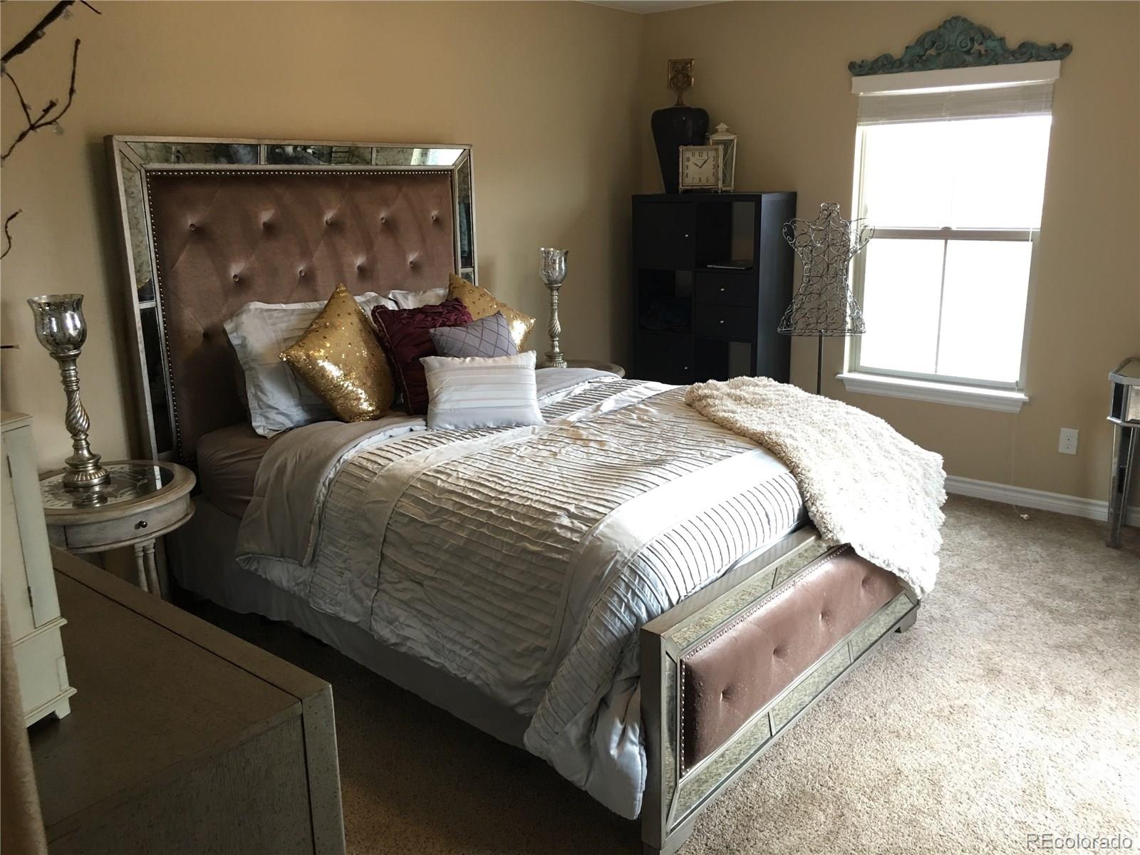 9526 Firenze Way Highlands Ranch, CO 80126 - Photo 22 of 35